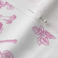 Marie Toile sorbet 2