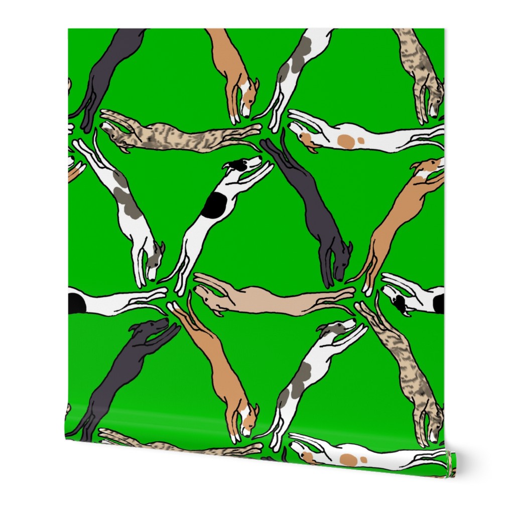 Assorted Triangulating Greyhounds on Green