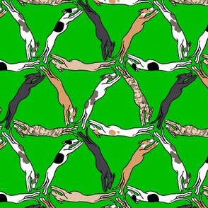 Assorted Triangulating Greyhounds on Green