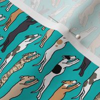 Assorted Greyhounds Racing Endlessly on Teal