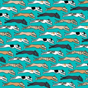 Assorted Greyhounds Racing Endlessly on Teal