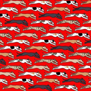 Assorted Greyhounds Racing Endlessly on Red