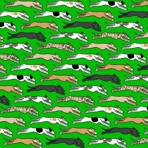 Assorted Greyhounds Racing Endlessly on Green