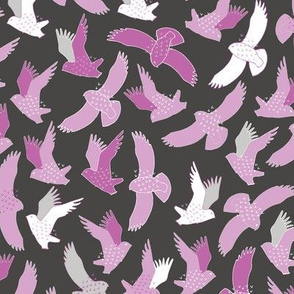 Snowy Owls In flight - pink on charcoal black