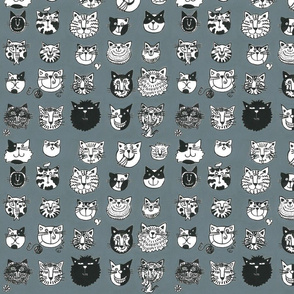 Cats on Grey