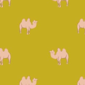 Camels on mustard