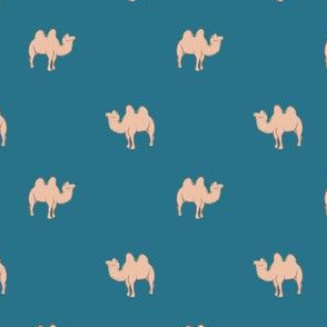 Camel on blue