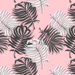 Grey and White Palm Leaves on Pink