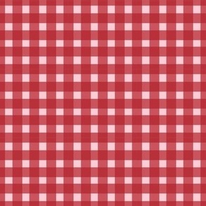 Red Gingham Check Pink and Red ClarkyWorks