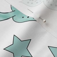 Narwhal and Stars