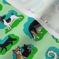 1950s Style Assorted Dogs on Light Green