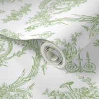 Marie Toile basil 1