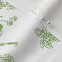 Marie Toile basil 2