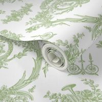 Marie Toile basil 2