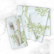 Marie Toile basil 4