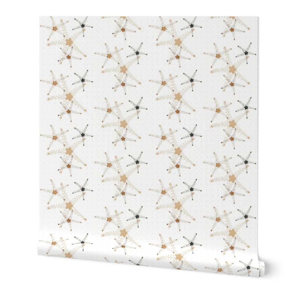 Sea Stars in beige and brown with background