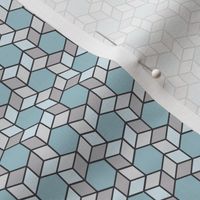 Geometric Pattern: Hexagon Box: Winter