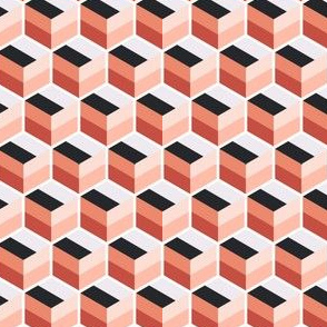 Geometric Pattern: Cube Stripe: Watermelon