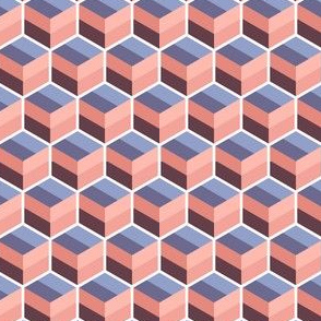 Geometric Pattern: Cube Stripe: Desert