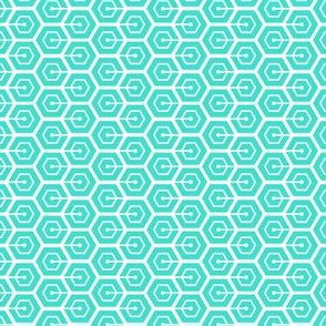 Geometric Pattern: Linked Hexagon: Blue/White