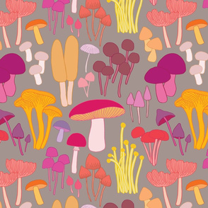 Pink Mushrooms