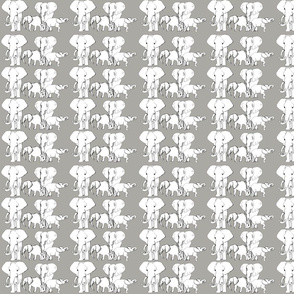 African Elephants - white on grey