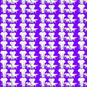 African Elephants on Purple