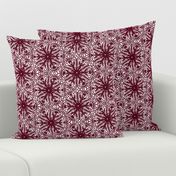 crocus snowflake burgundy white