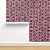 crocus snowflake burgundy white