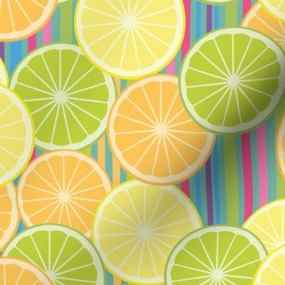 Juicy Citrus Slices