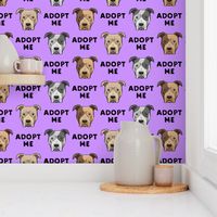 adopt me - pit bulls on purple