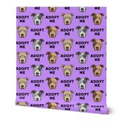 adopt me - pit bulls on purple