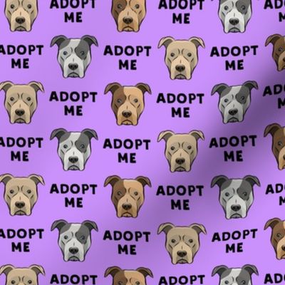 adopt me - pit bulls on purple