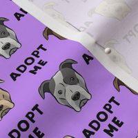 adopt me - pit bulls on purple