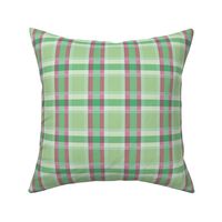 Plaid pattern green and pink