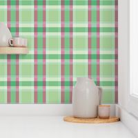 Plaid pattern green and pink