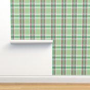 Plaid pattern green and pink