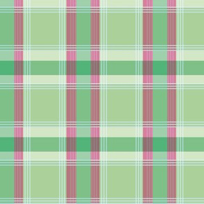 Plaid pattern green and pink