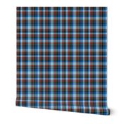 blue cowboys plaid tea towel