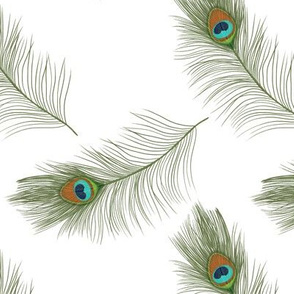 Small peacock feathers