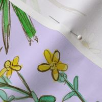 Medicinal Herbal Lavender