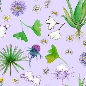 Medicinal Herbal Lavender