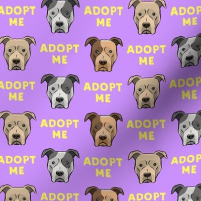 (slightly larger) adopt me - pit bulls on purple / yellow  C18BS