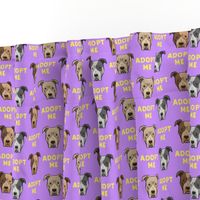 (slightly larger) adopt me - pit bulls on purple / yellow  C18BS