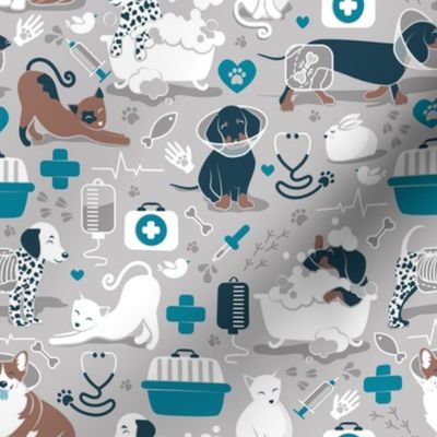 Small scale // VET medicine happy and healthy friends // grey background turquoise details navy blue white and brown cats dogs and other animals