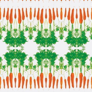 Cabbage and carrot-white small