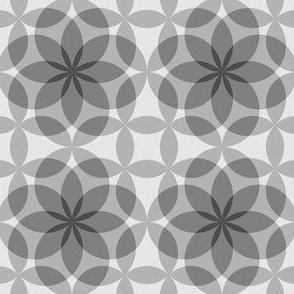 07781363 : circle 8 : greyscale