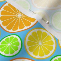 07781599 : U865 citrus : orange lemon lime
