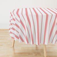 Coral Pink & Gray Striped Stripe