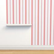 Coral Pink & Gray Striped Stripe